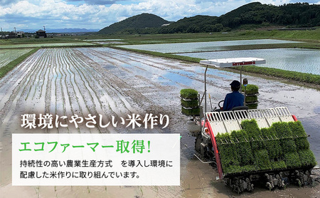 きぬむすめ 白米 単一原料米 きぬむすめ【6kg(3kg×2袋)】【定期便3ヶ月】