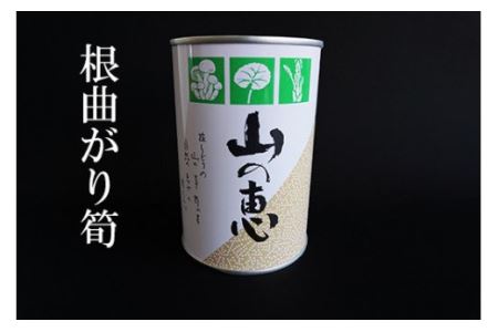 No.0549たけのこ 缶詰（根曲り筍）2缶セット