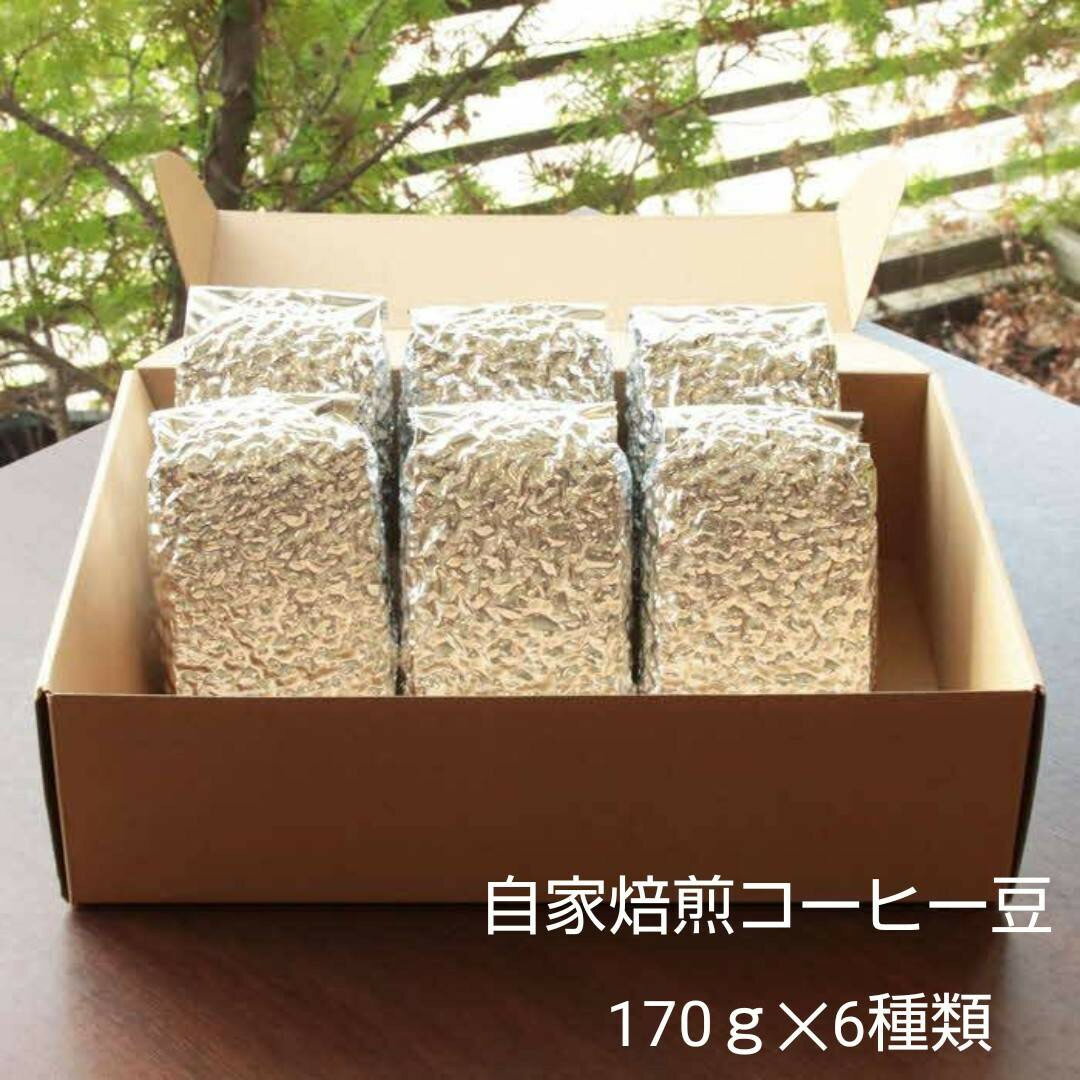 【ふるさと納税】お家でカフェ♪アメリカンスペシャリティ認定豆　170g× 6袋 | こだわり珈琲の方にぴったり☆個性豊かな珈琲豆をゆったり楽しんで頂けるセットです
