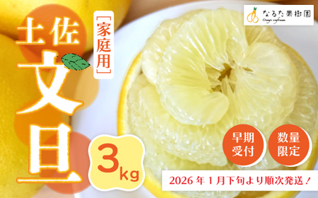 【 早期受付 期間限定 数量限定 】 土佐文旦 3kg 家庭用 人気 フルーツ 果物 文旦 ぶんたん ブンタン 甘酸っぱい 限定品 土佐 高知県 高知 四万十市 四万十 しまんと お取り寄せ 【配送時期：2026年1月下旬～3月上旬】25-334