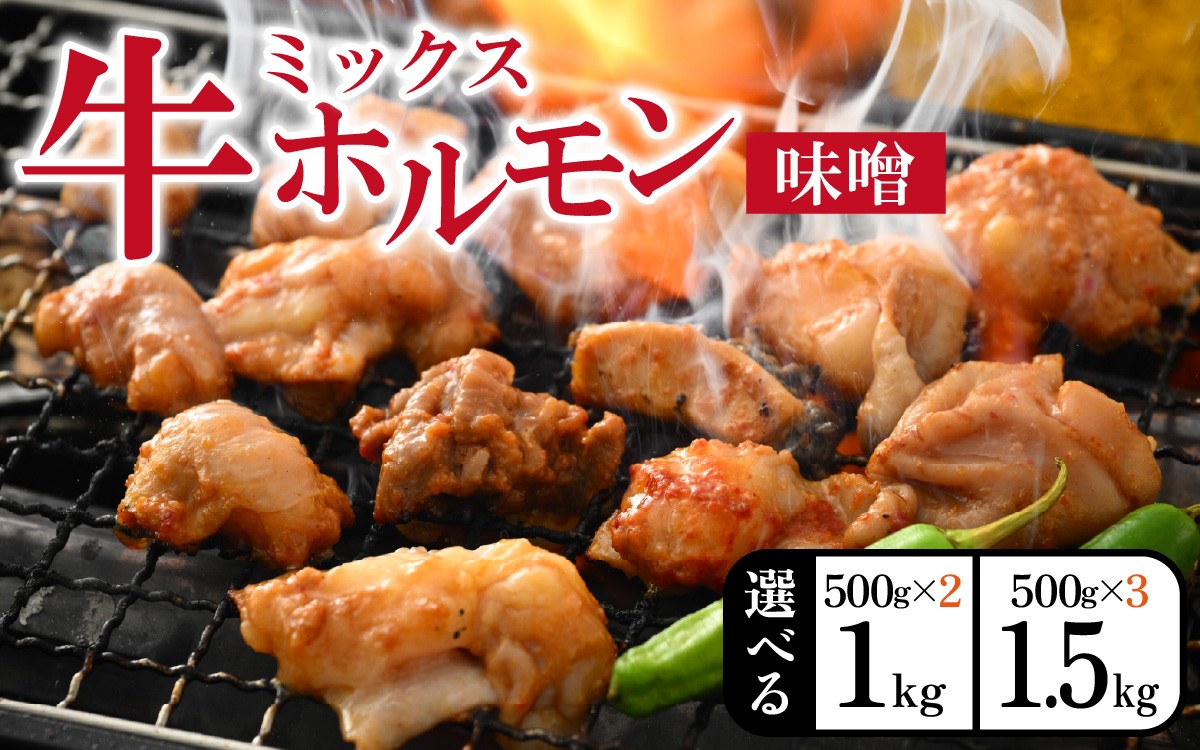 
                  【選べる容量】大美のとんちゃん（ミックス）牛ホルモン ミックス 味噌ダレ 1kg or 1.5kg
                