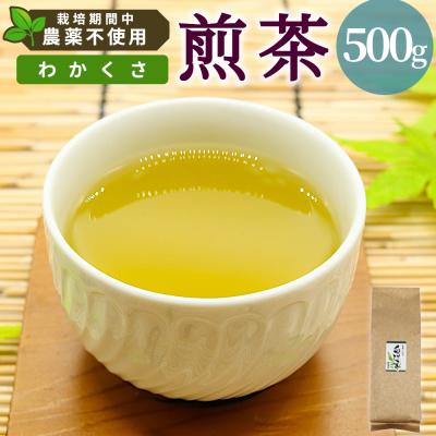 ふるさと納税 東白川村 栽培期間中 農薬不使用! 煎茶 わかくさ 500g 常磐園 日本茶 緑茶 煎茶
