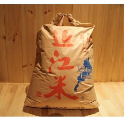 ふるさと納税 竜王町 令和6年産 コシヒカリ玄米 30kg |  | 03