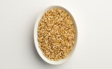 【令和6年産 新米】中道農園 自然栽培 コシヒカリ 希 玄米 2.5kg 肥料不使用、自然の力だけで栽培！農薬・化学肥料不使用｜JAS認証 オーガニック｜真空包装 防災備蓄対応｜ふるさと納税 滋賀県野