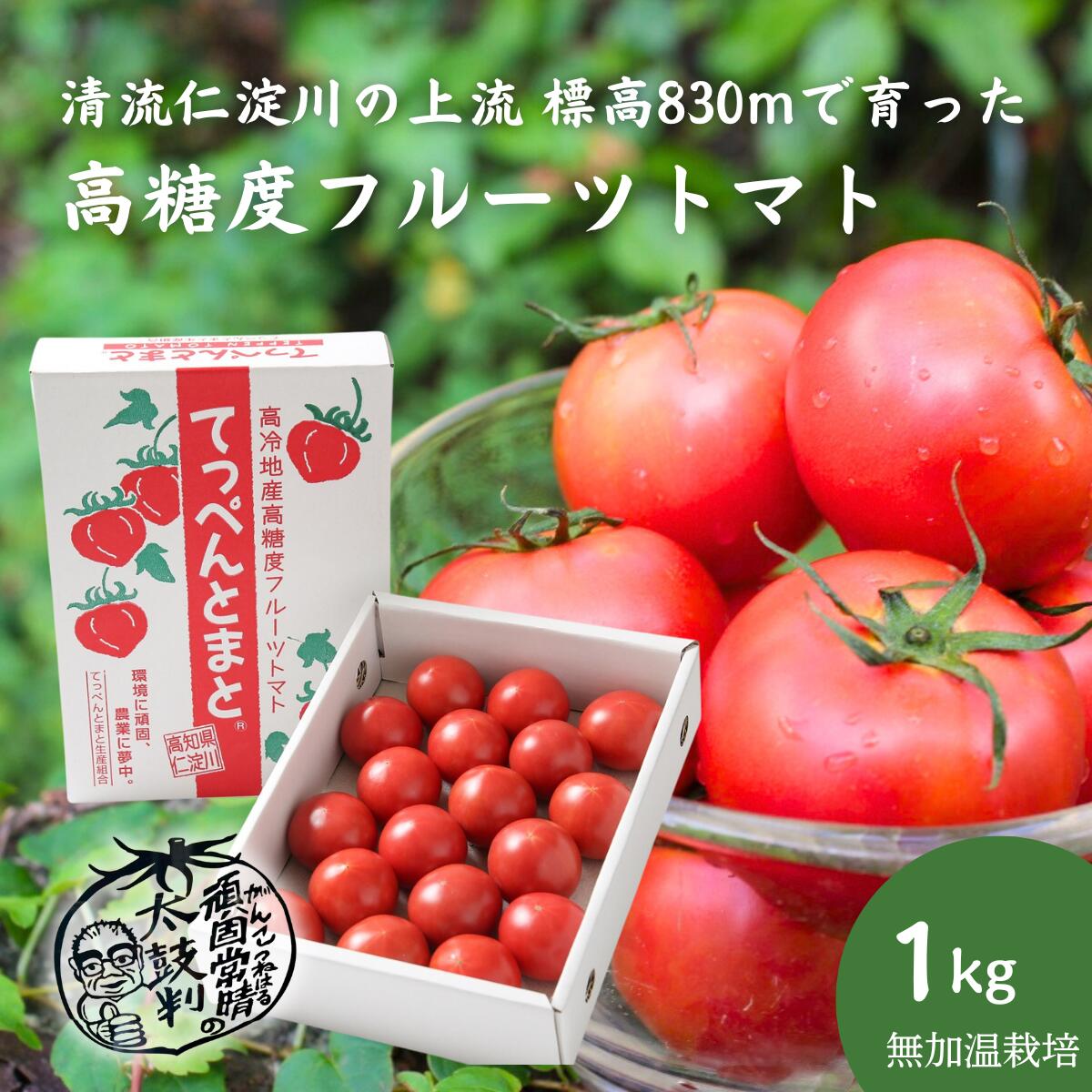 【ふるさと納税】＼夏秋限定・先行予約／無加温栽培てっぺんとまと 1kg（1箱）【高知県産/産地直送】フルーツトマト トマト とまと 野菜 やさい お取り寄せ ※10月中旬受付終了