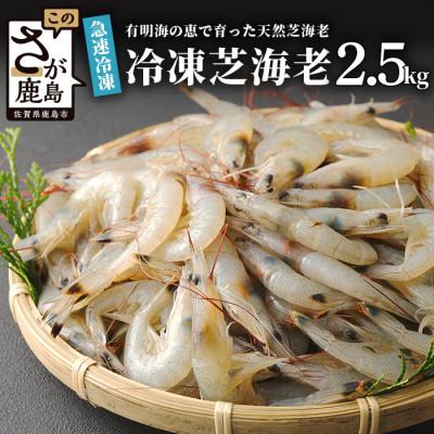ふるさと納税 鹿島市 冷凍芝エビ(真エビ)2.5kg(500g×5パック)