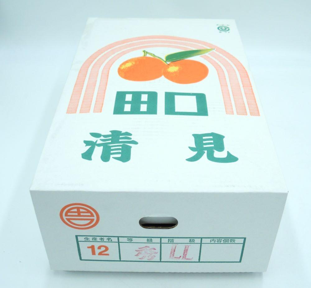 田口の清見オレンジ 秀品　5kg　L～３L（30玉～18玉）化粧箱入り サイズおまかせ【2025／2／26～2025／3／31 順次発送】