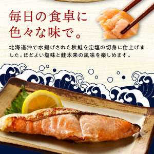 【2025年10月以降発送】えりも【マルデン特製】北海道産定塩鮭切り身 10切【er002-101-a】鮭 秋鮭 塩鮭 白鮭 ブランド魚 個包装 北海道産 魚介 焼き魚 ムニエル 切身 大容量 真空パ