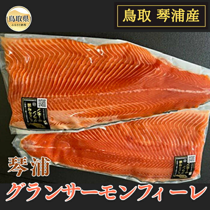 【ふるさと納税】B24-462 琴浦　グランサーモンフィーレ2~3(総目方1kg~1.2kg）【数量限定】