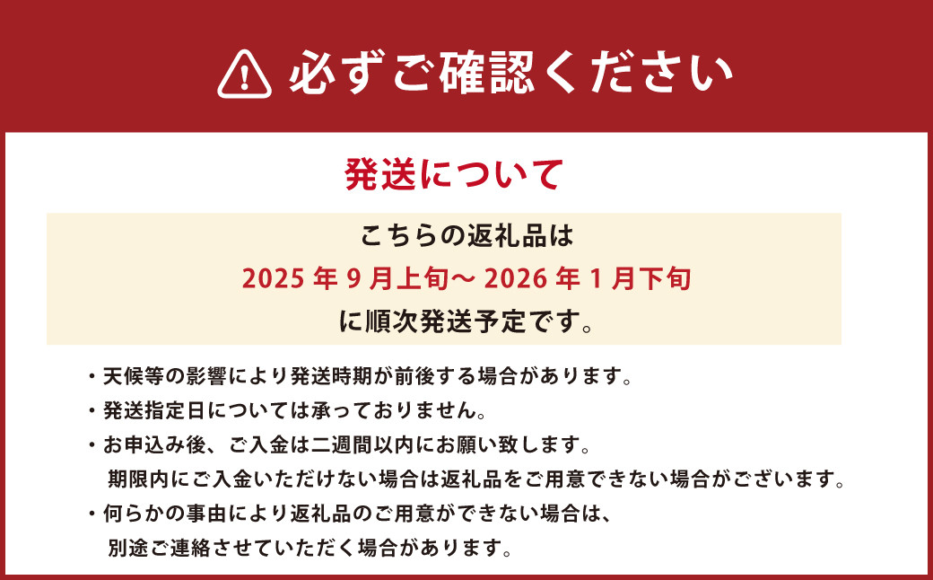 熊本市産 厳選 極上蜜柑 5kg