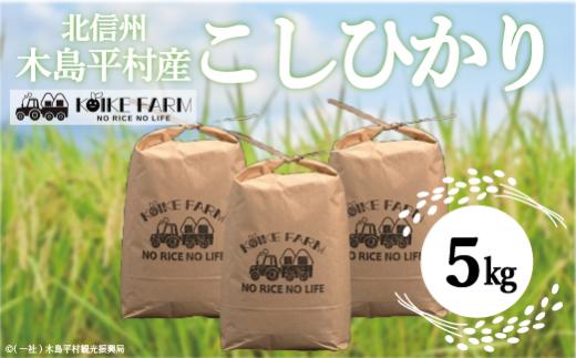 木島平産 こしひかり 5kg | 米 こしひかり コシヒカリ 定番 品種 特別栽培 寒暖差 木島平村 長野県 信州 コシヒカリ 減農薬 無化学肥料 特別栽培米