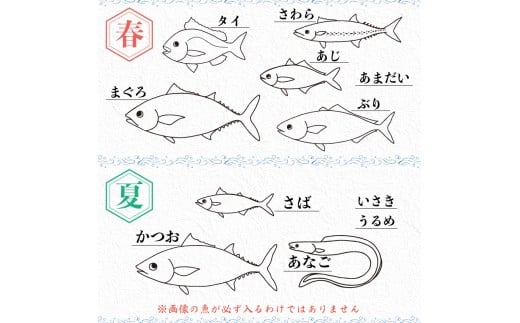 【魚屋のプロが厳選！】 鮮魚 BOX 2kg 2kg