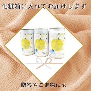 クラフトビール「光秀の夢 柚子ALE」350ml 10本（化粧箱入り）ビール