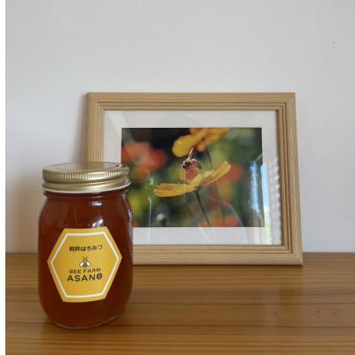 ふるさと納税 瑞浪市 純粋ハチミツ(野山の花500g×1)