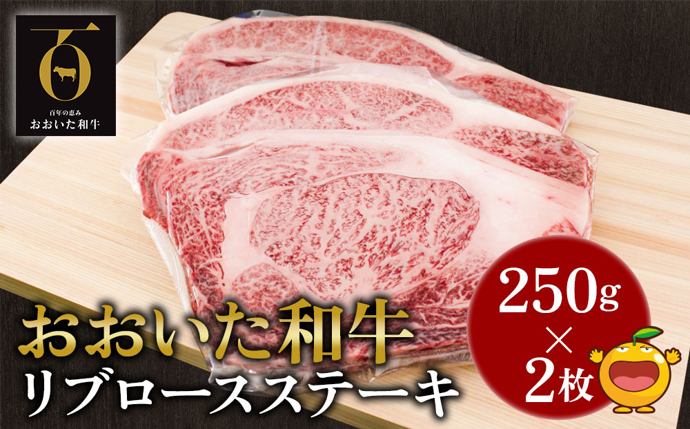 おおいた和牛 リブロースステーキ約250g×2枚(合計500g） 和牛 豊後牛 赤身肉 焼き肉 焼肉 大分県産 九州産 津久見市 熨斗対応【tsu001808】