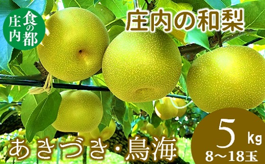 食の都庄内　庄内の和梨【あきづき・鳥海】約5kg※9月中旬ごろより順次配送