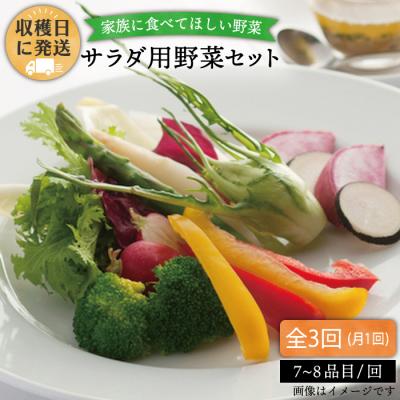 ふるさと納税 糸島市 【全3回定期便】【福岡県糸島産】 朝採れ サラダ用 野菜 セット [AGE005]