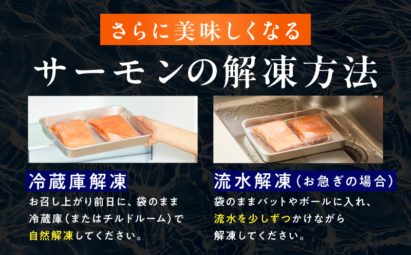 お刺身用 サーモン トラウト 1kg【小分け 約250g×4P ポーション ブロック 柵 訳あり サイズ不揃い さーもん 数量限定】 kgp0048-2