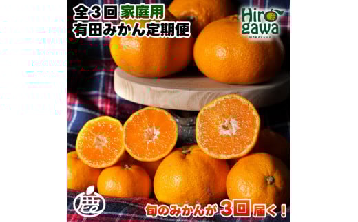 家庭用 有田 みかん 定期便 【2.5kg×3回】 / 温州みかん 有田みかん 甘い 訳あり 和歌山 有田 2.5kg ※北海道・沖縄・離島への配送不可