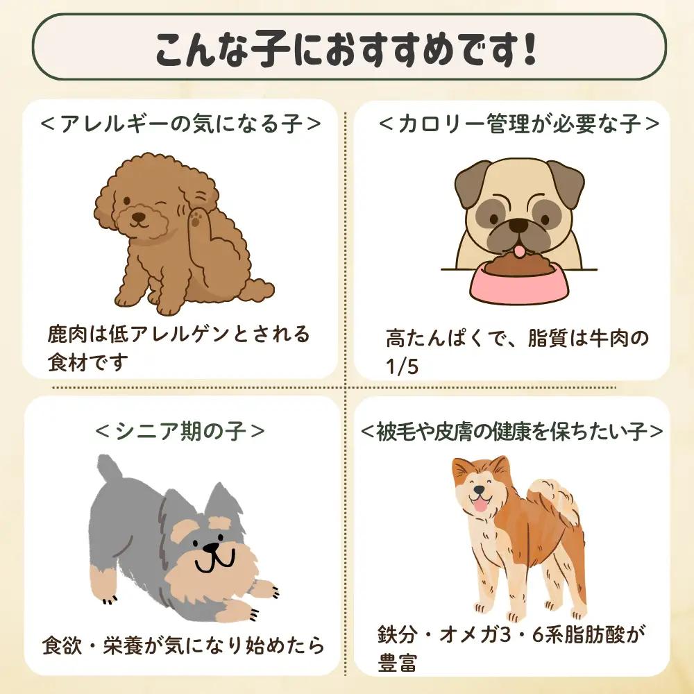 【12回定期便】 森のジビエ for PET 鹿肉 2kg ペットフード 犬 猫 A-JK-D02A