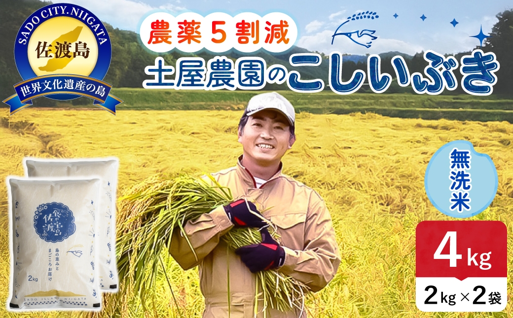 
                  佐渡島産こしいぶき 無洗米 4kg 令和8年産 農薬5割減 土屋農園 | 新潟県産こしいぶき 新潟産こしいぶき 佐渡産こしいぶき こしいぶき お米 米 無洗米 むせんまい 精米 おこめ コメ 4キロ にいがた さど 新潟県 佐渡市
                