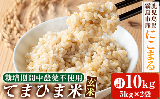 K-391-C 《令和6年産》てまひま米・玄米(品種：にこまる)(計10kg：5kg×2袋)【末蜜農園】霧島市 お米 玄米 米 こめ コメ ご飯 ごはん 栽培期間中農薬不使用