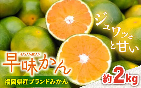 【9月中旬より発送】先行予約 福岡産ブランドみかん 早味かん 約2kg＜南国フルーツ株式会社＞那珂川市 みかん オレンジ ブランド フルーツ 果物 九州産 国産 [GCD023]12000 12000円