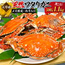 【ふるさと納税】天草産 天然ワタリガニ メス限定内子入り 500g～1.1kg 2杯～5杯 選べる内容量 蟹 カニ 渡り蟹 海産物 海鮮 海の幸 天然 内子 冷凍 送料無料