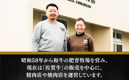 【冷凍で保管】佐賀牛ミンチ400g / ブランド牛 黒毛和牛 牛肉 / 佐賀県 / 田中畜産牛肉店[41ARAA008]