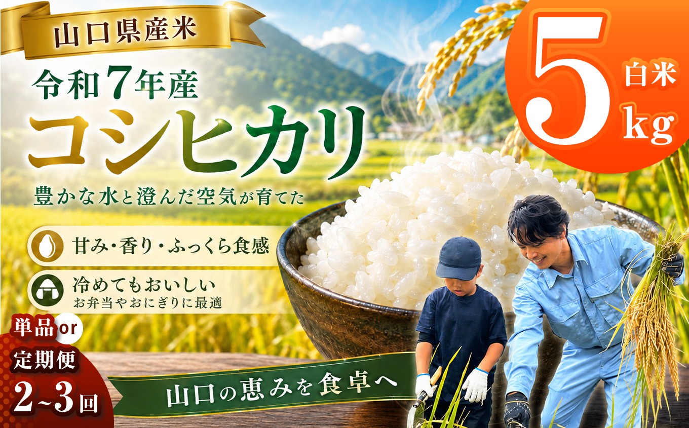 
                   令和7年産 山口県産米 コシヒカリ 5kg 【 単品 / 定期便 】 選べる 配送回数 1回 2回 3回 ｜ 令和7年産 こしひかり 山口県産米 こめ お米 コメ 白米 精米 ごはん ご飯 瀬戸内 山口県 平生町 5kg
                