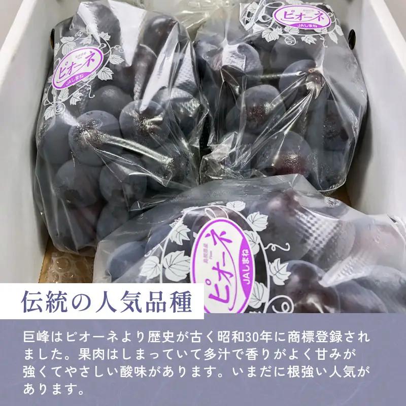 B-700 黒い宝石「種なしピオーネ」2kg