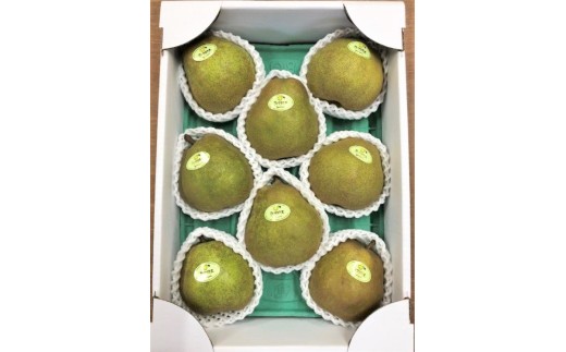 【山形セレクション認定品】ラ・フランス　３ｋｇ　特選　ギフト用　0078-2604