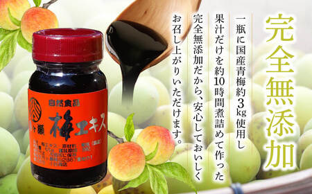 【梅エキス】65g 月ヶ瀬梅渓名産 梅 I-247