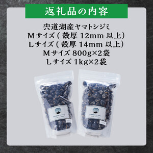 漁師直送！宍道湖産ヤマトシジミ・食べ比べ3.6kg（Lサイズ2kg＋Mサイズ1.6kg）