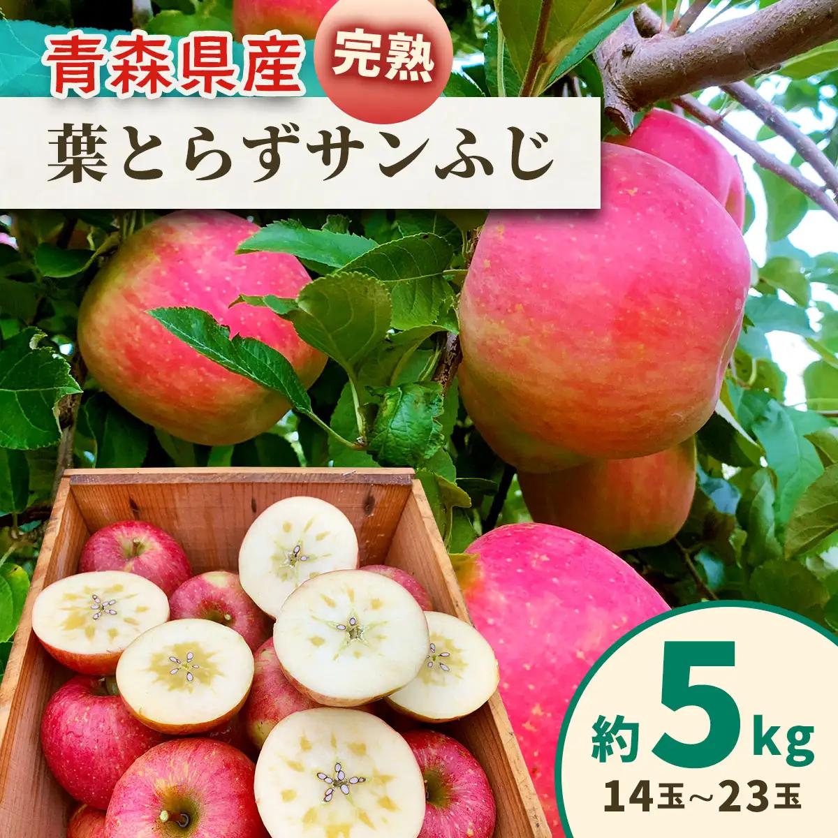 完熟！葉とらずサンふじ 5kg [1087]