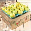 【ふるさと納税】【2025年8月発送予定】平均糖度12度以上! 黄王 約5kg おもてなし用 クール便【配送不可地域：離島・沖縄県】【1606632】