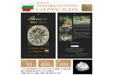 羽毛布団 シングル 冬用 本掛け 80番手サテン (エリーヌブルー 青 柄 ) ｜
