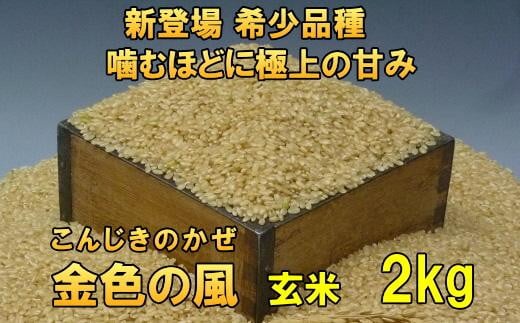 新登場の高級米 令和7年産 岩手県奥州市産 金色の風 玄米 2kg 【7日以内発送】 おこめ ごはん ブランド米 [AC025]