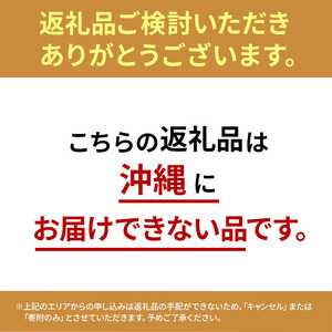 山ノ内町産サンふじ使用！りんごジュース 1000cc×3本セット 果汁飲料 アップルジュース フルーツジュース ソフトドリンク 山ノ内町産りんご サンふじ100％ 