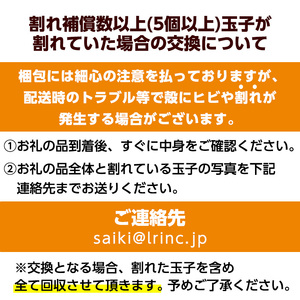 ＜訳あり・規格外＞ 平飼い赤鶏のたまご (計54個) 元さん農園 卵 玉子 卵かけご飯 玉子焼き 平飼い 鶏 鶏卵 養鶏場直送 新鮮 大分県 佐伯市 【GE008】【 (株)海九】