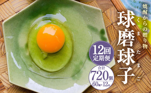 【定期便12回】球磨球子 60個入×12回 合計720個 鶏卵 卵 玉子 たまご くまたまご（破損保証有り）