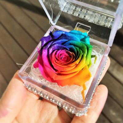 ふるさと納税 中央市 プリザーブドフラワー レインボーローズ クリアケース ミニサイズ 花言葉「奇跡」「無限の可能性」 |  | 01