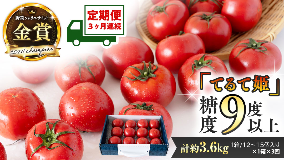 《 テレビで紹介 》【 2026年収穫分 先行予約 】【 3回 定期便 】 糖度9度以上 スーパーフルーツトマト てるて姫 中箱 約1.2kg × 1箱 × 3回 フルーツトマト ブランドトマト 野菜 ギフト 贈答 青空レストラン アド街ック天国 グッドモーニング 黄金のワンスプーン [BC051sa]