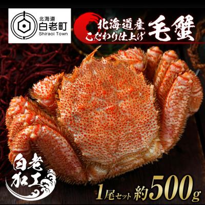 ふるさと納税 白老町 毛蟹 ボイル済み 冷凍 1尾セット 約500g BM047