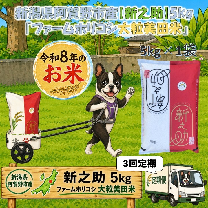 
                  【令和8年産新米】【3ヶ月定期便】阿賀野市産 新之助 「ファームホリコシ 新之助」 5kg×3回  白米 精米 新潟県 米 こめ コメ 10月上旬頃より発送開始予定 3H21037
                