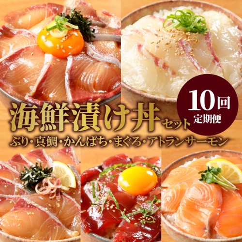 お魚の漬け丼バラエティ10回定期便 N019-YG0190