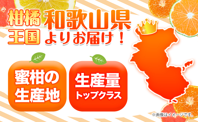 ＜先行予約＞紀州有田産ブラッド オレンジ 約 5kg【ご家庭用】 魚鶴商店《2026年3月上旬-3月下旬頃出荷》 和歌山県 日高町 紀州有田産 オレンジ みかん ご家庭用