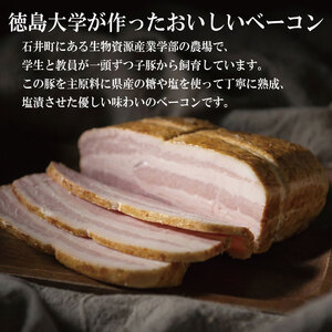 徳島大学 熟成ベーコン 400g ベーコン