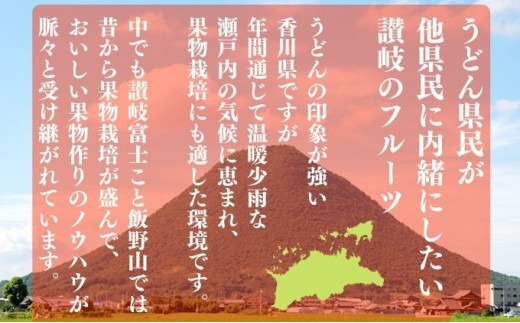 いちごのお姫様 さぬきひめ 2月中旬から順次発送 選べる容量 約250g×8パック 苺 いちご 果物 フルーツ 果物 ブランド さぬき姫 ジューシー 果汁 甘い 季節 デザート スイーツ ふるさと納税