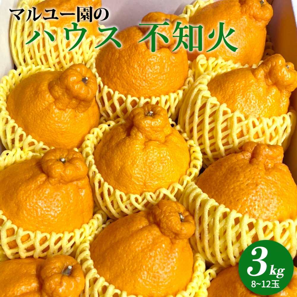 【ふるさと納税】マルユー園の ハウス 不知火 約3kg (8玉～12玉)【でこぽん デコポン しらぬい 不知火 柑橘 和歌山】
